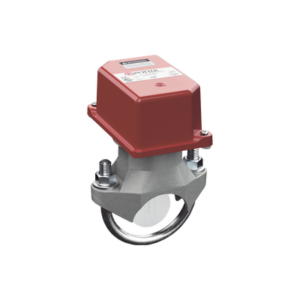 Detector de Flujo de Agua / 2.5 Pulgadas / Tipo Paleta / Retardo Neumático Ajustable / 450 psi / 4-10 gpm